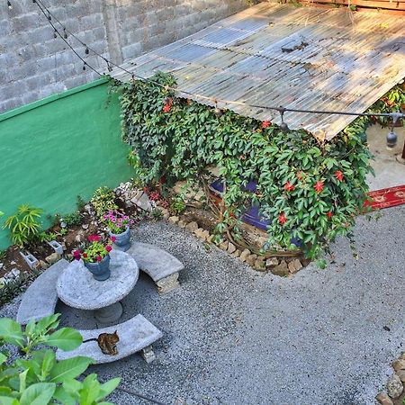 Mangifera Hostel 그레시아 외부 사진